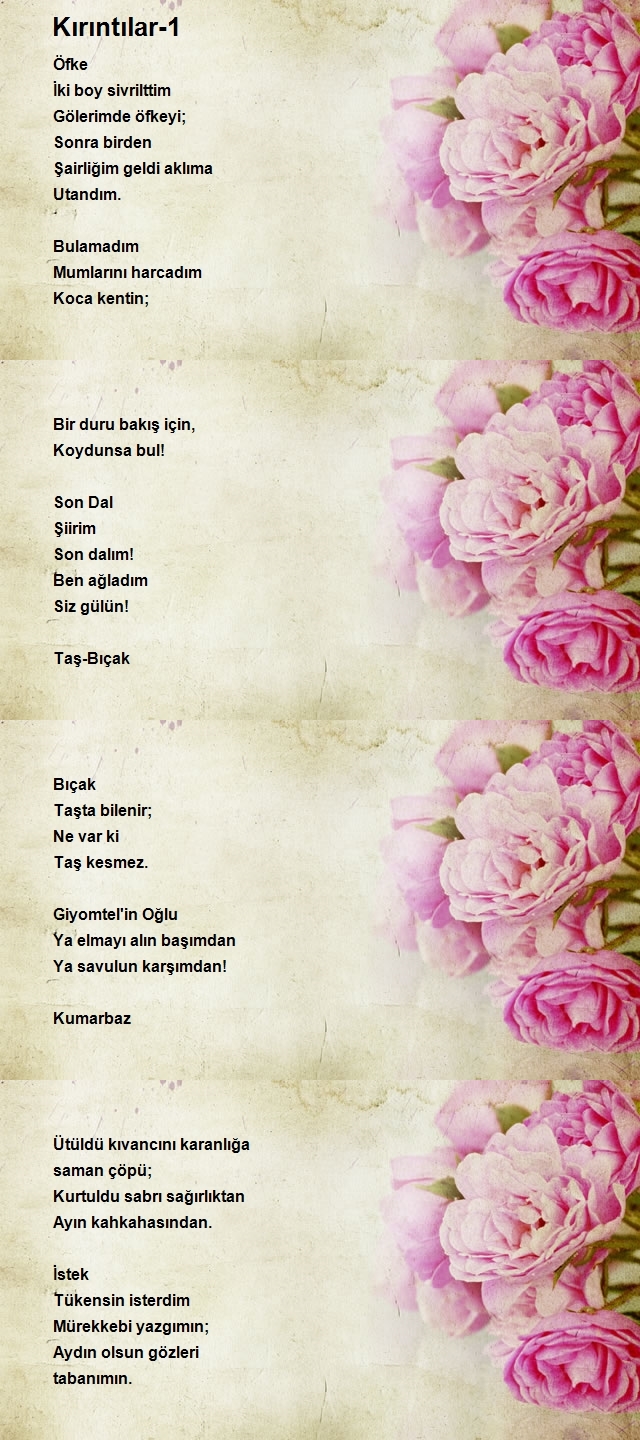 Nadir Şener Hatunoğlu