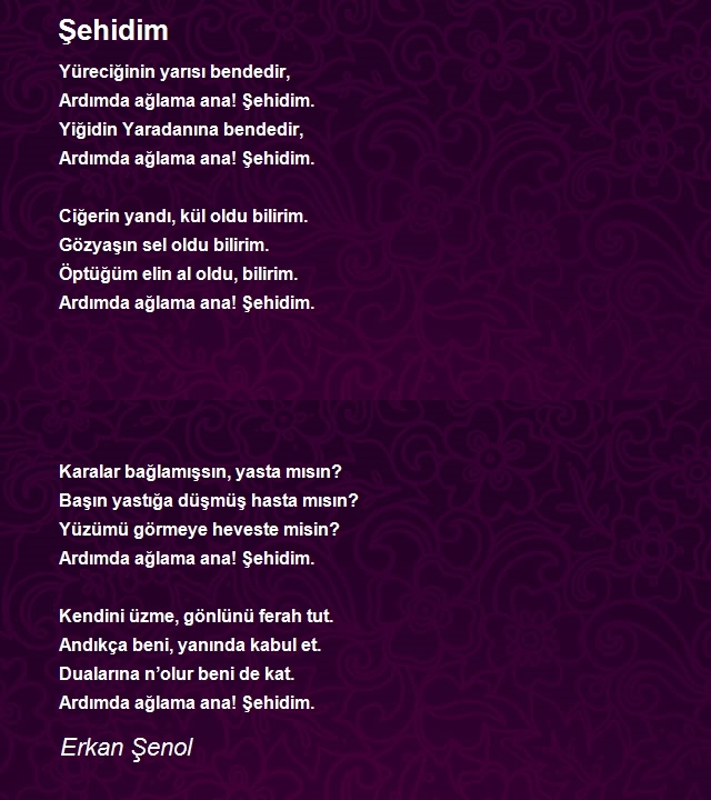 Erkan Şenol