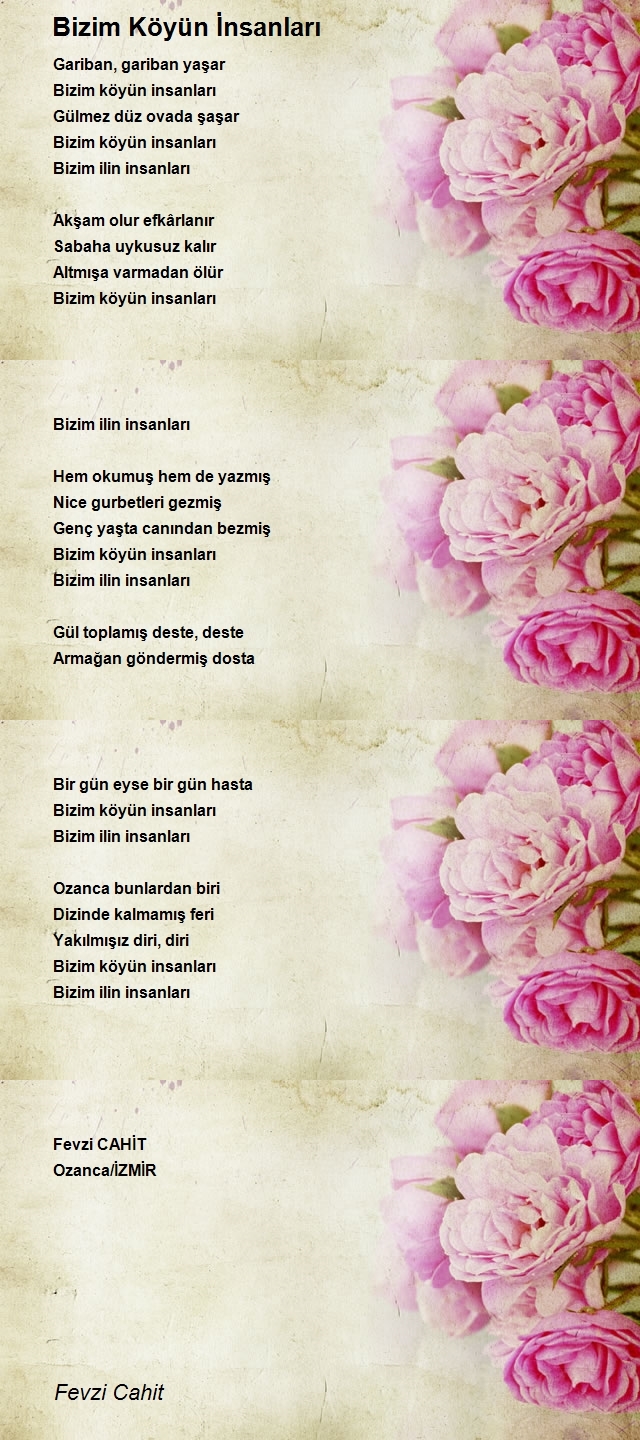 Fevzi Cahit