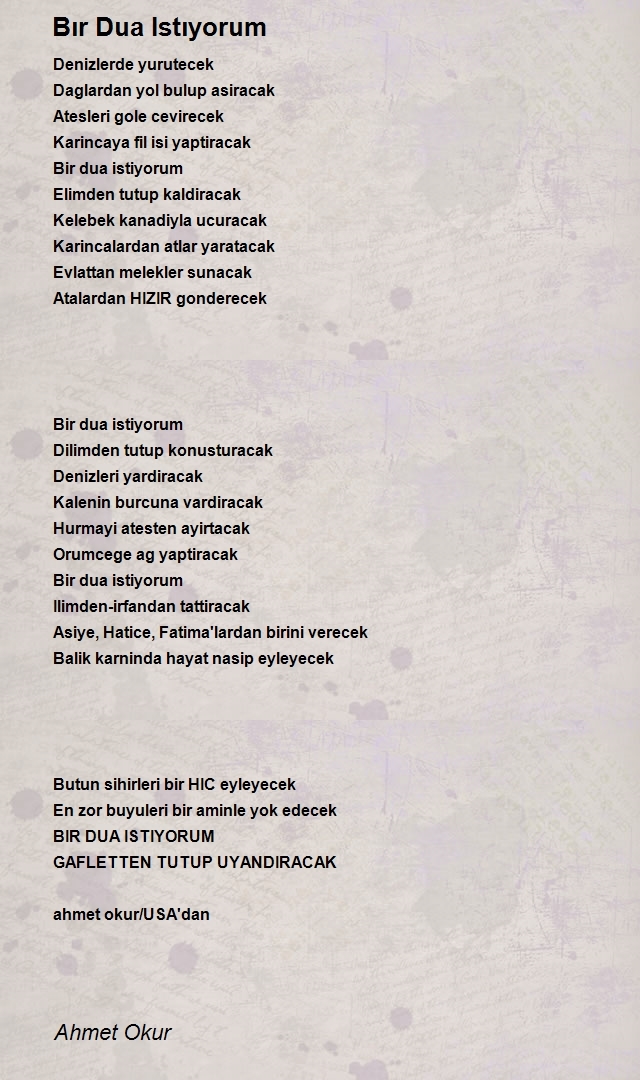 Ahmet Okur