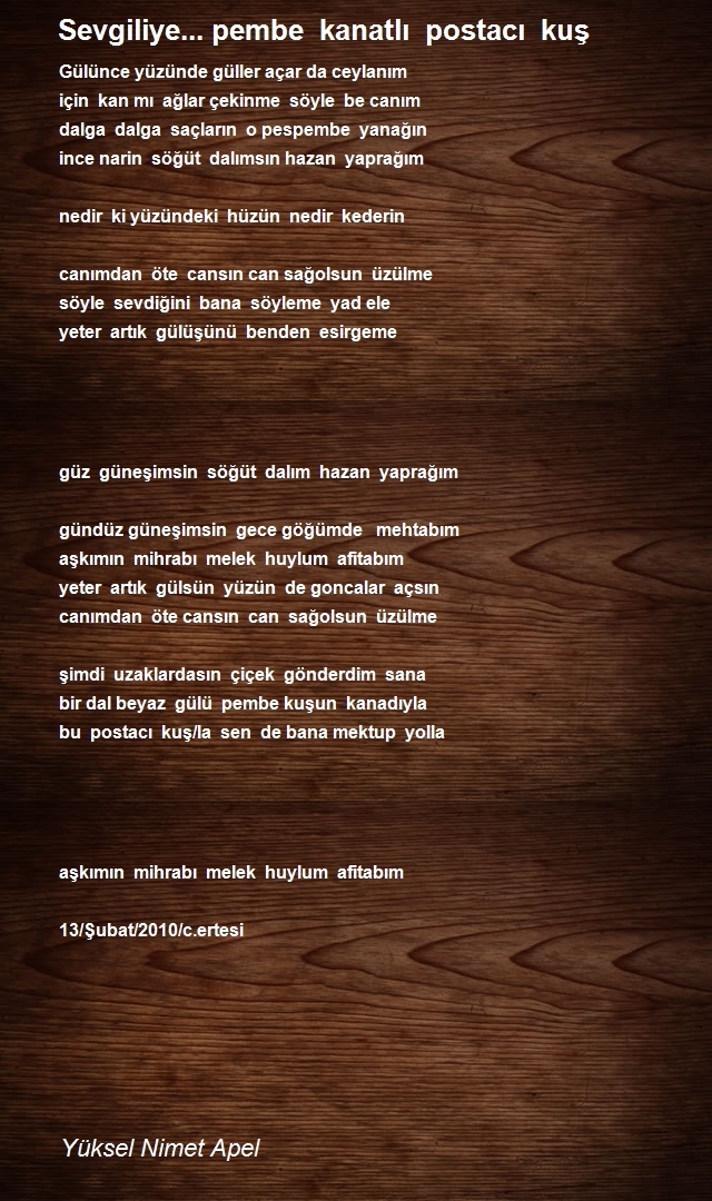 Yüksel Nimet Apel