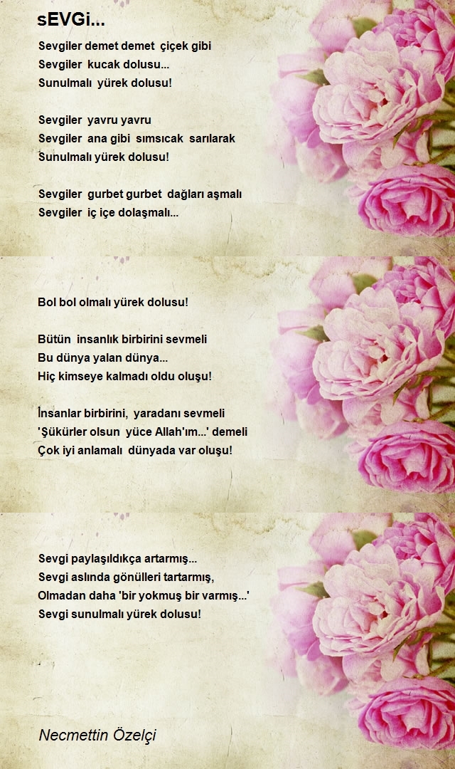 Necmettin Özelçi