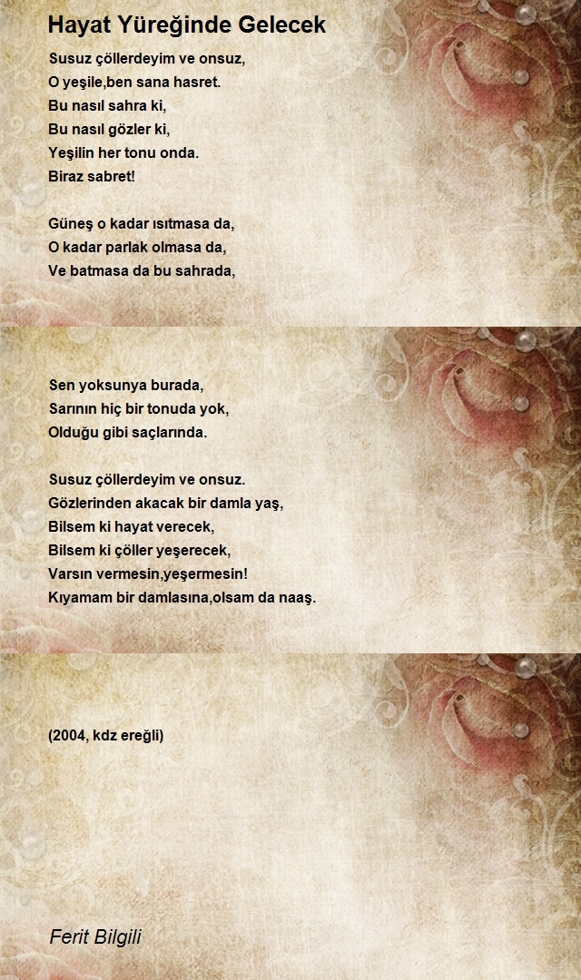 Ferit Bilgili