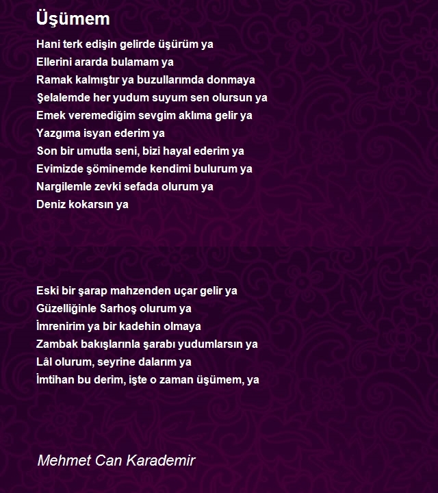 Mehmet Can Karademir