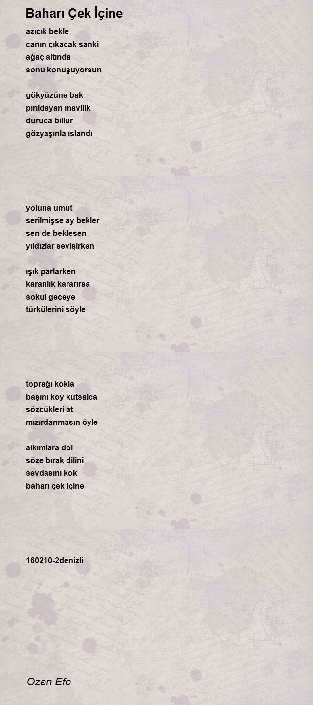 Ozan Efe