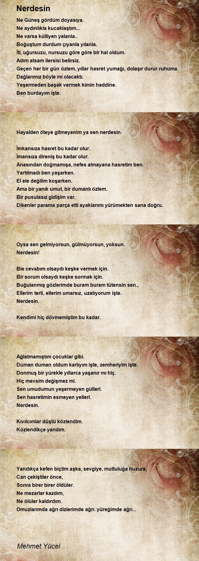 Mehmet Yücel