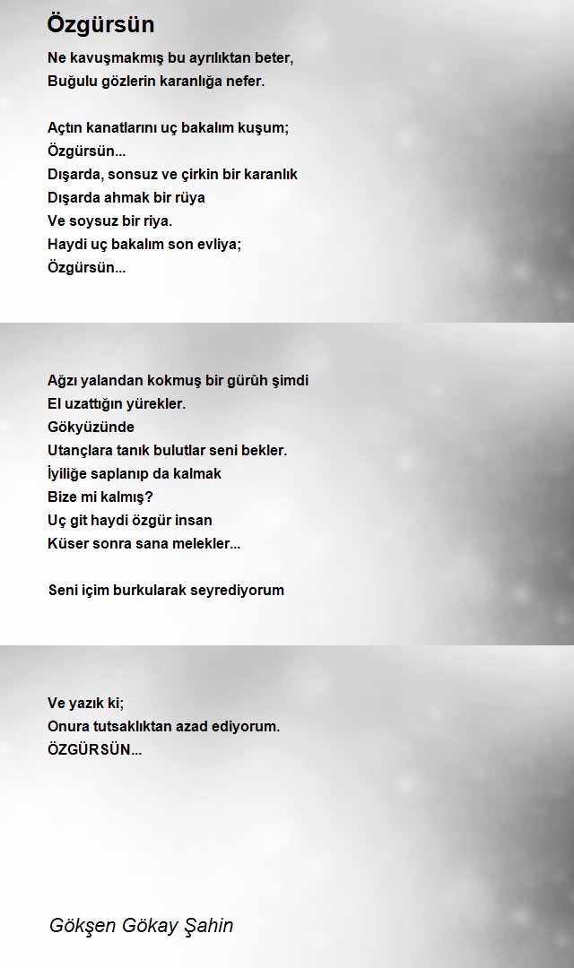 Gökşen Gökay Şahin