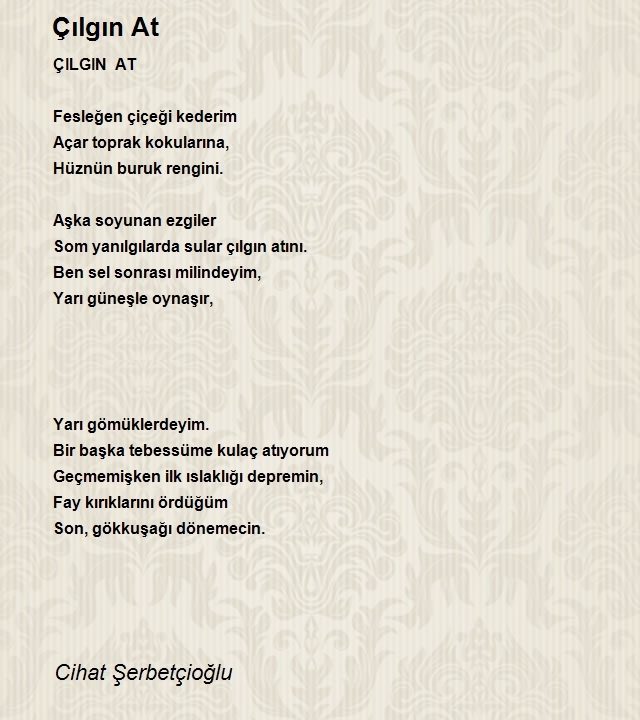 Cihat Şerbetçioğlu