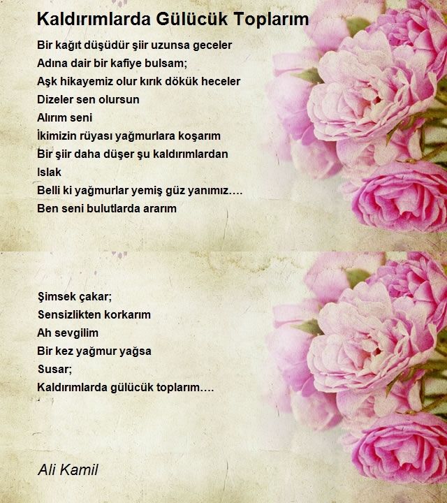 Ali Kamil