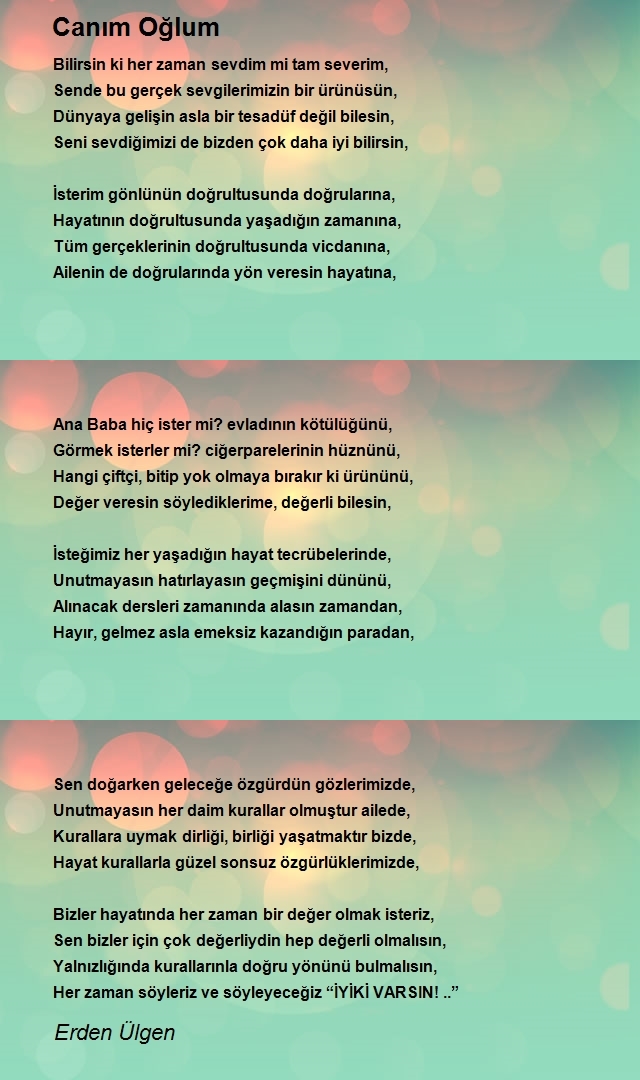 Erden Ülgen