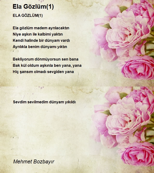 Mehmet Bozbayır