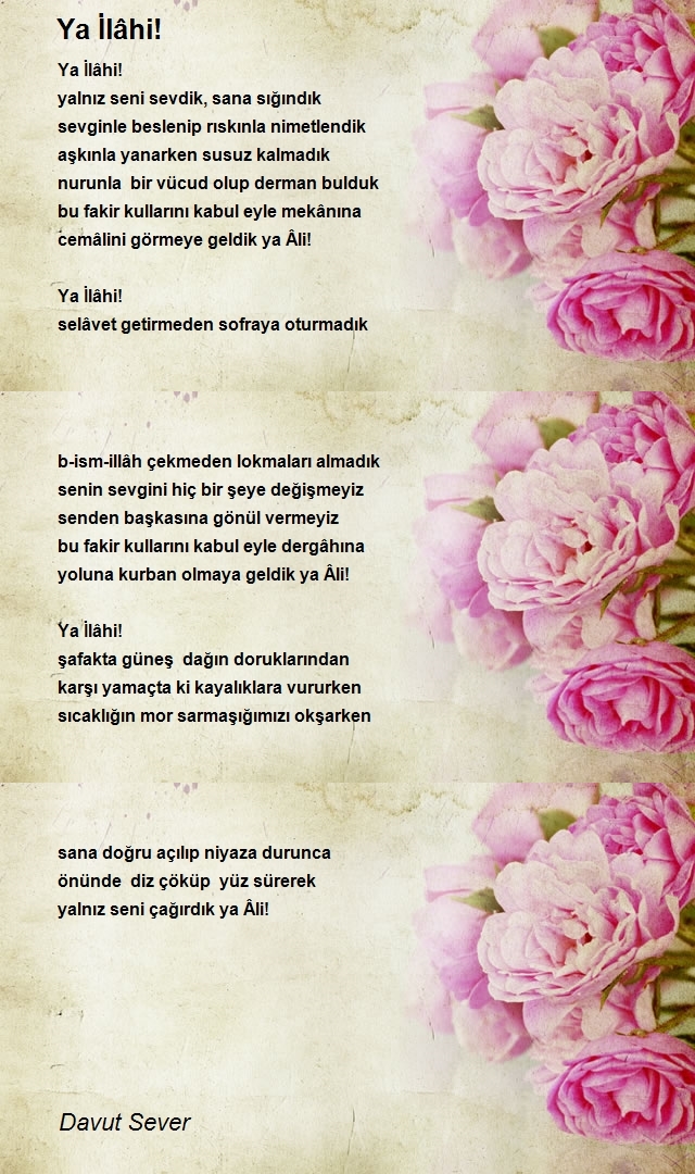 Davut Sever