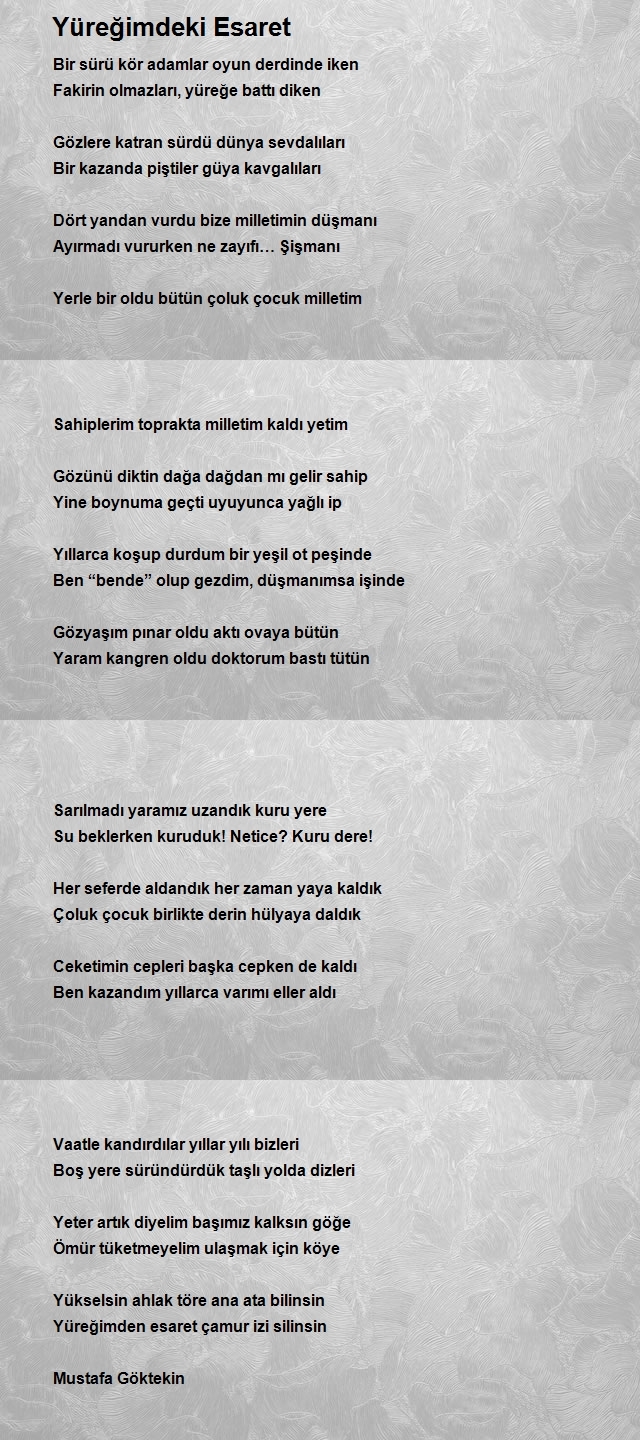 Mustafa Göktekin