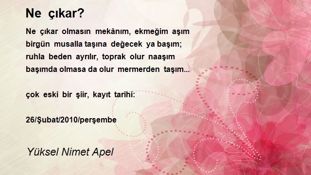 Yüksel Nimet Apel