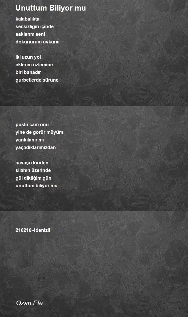 Ozan Efe