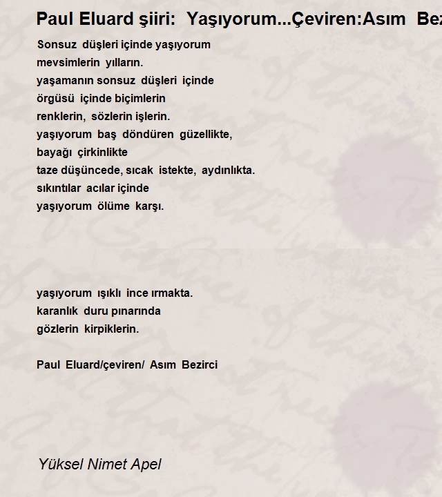 Yüksel Nimet Apel