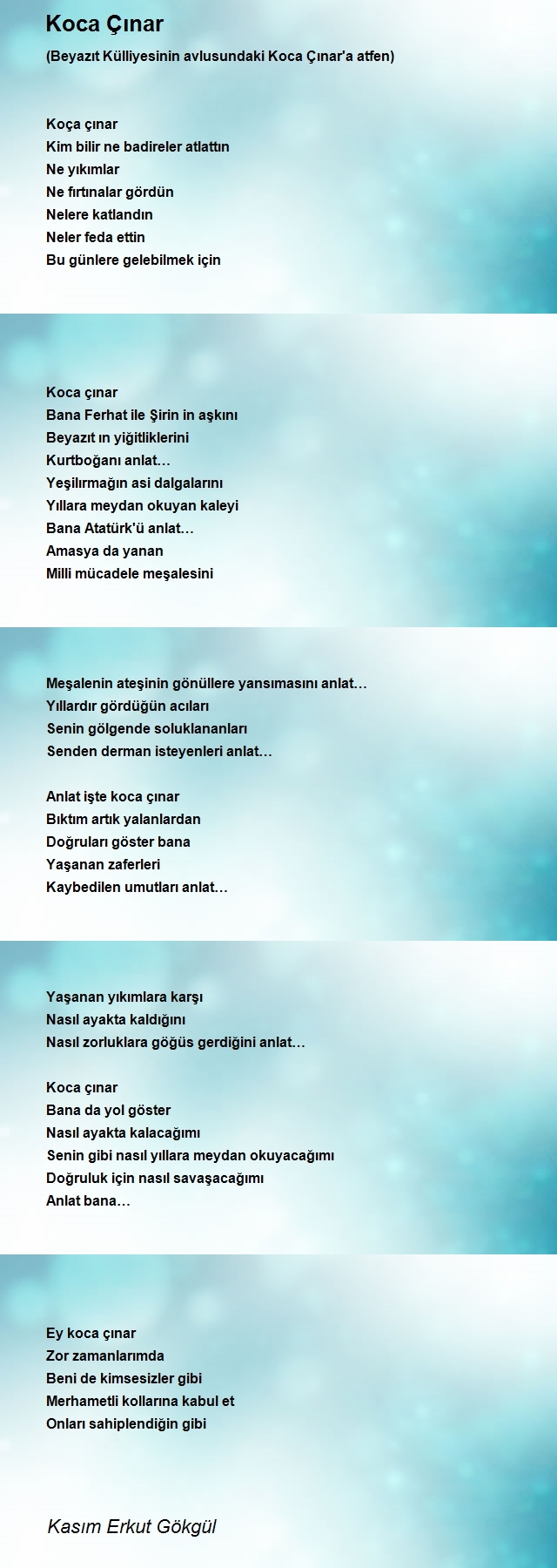 Kasım Erkut Gökgül