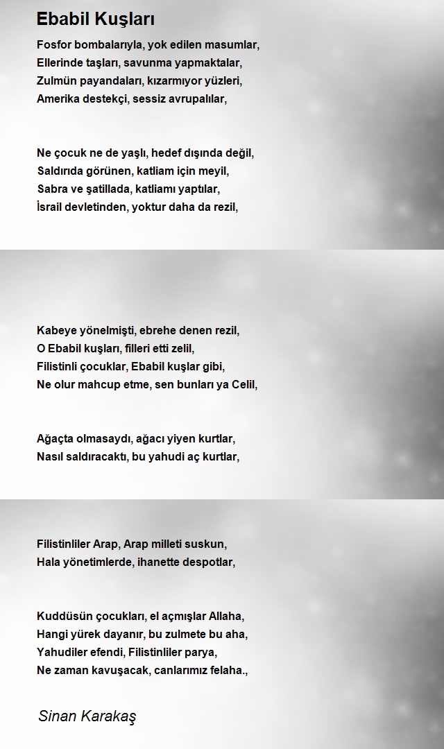 Sinan Karakaş