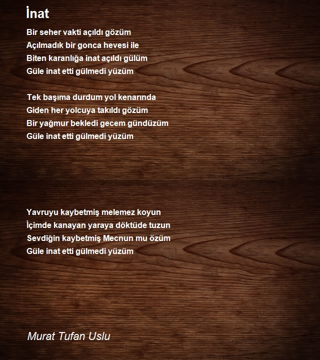 Murat Tufan Uslu