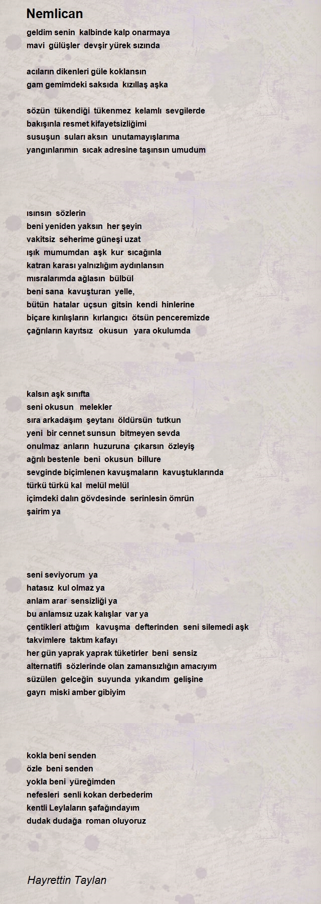 Hayrettin Taylan