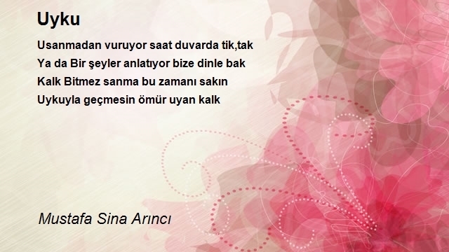 Mustafa Sina Arıncı
