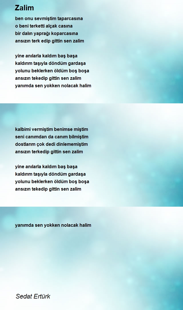 Sedat Ertürk