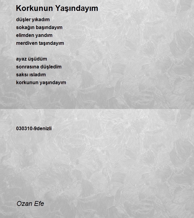 Ozan Efe