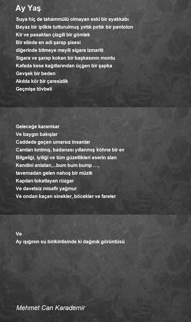 Mehmet Can Karademir