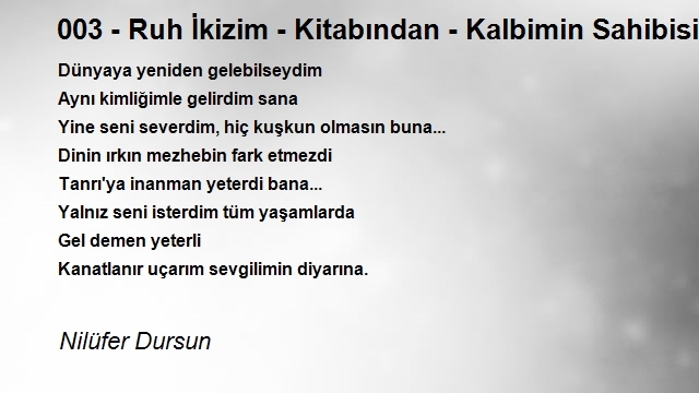 Nilüfer Dursun