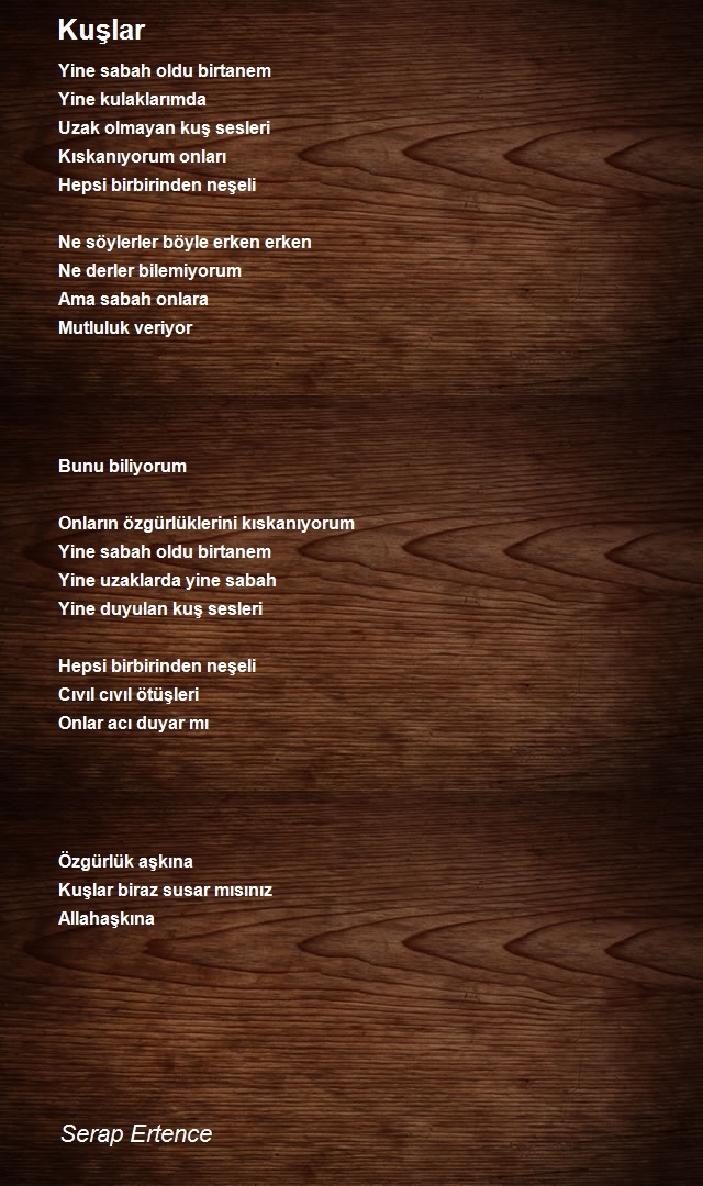 Serap Ertence