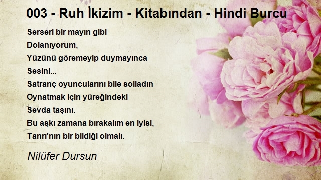 Nilüfer Dursun