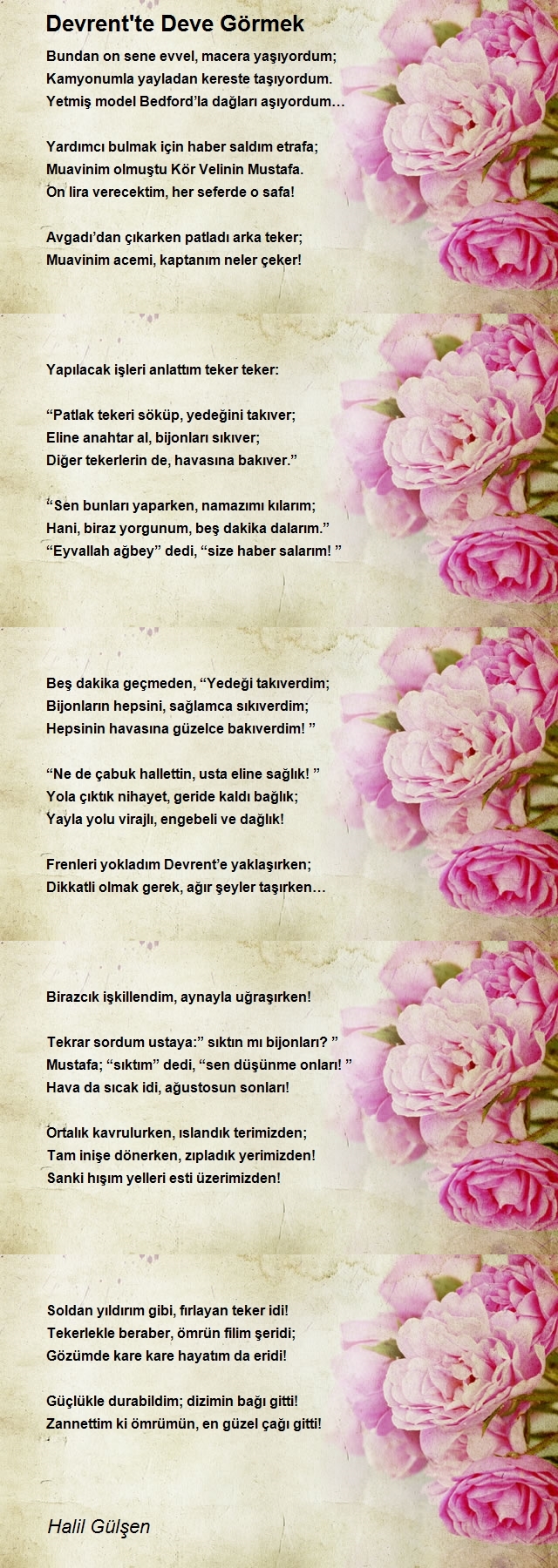 Halil Gülşen