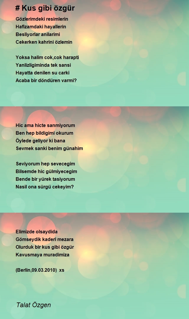Talat Özgen