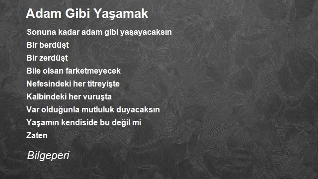 Şair Bilgeperi