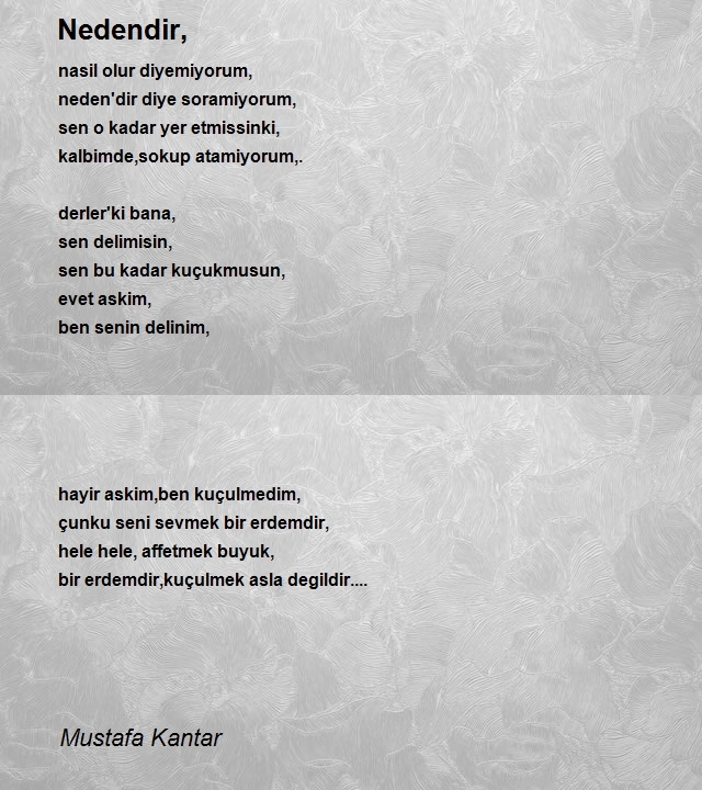 Mustafa Kantar