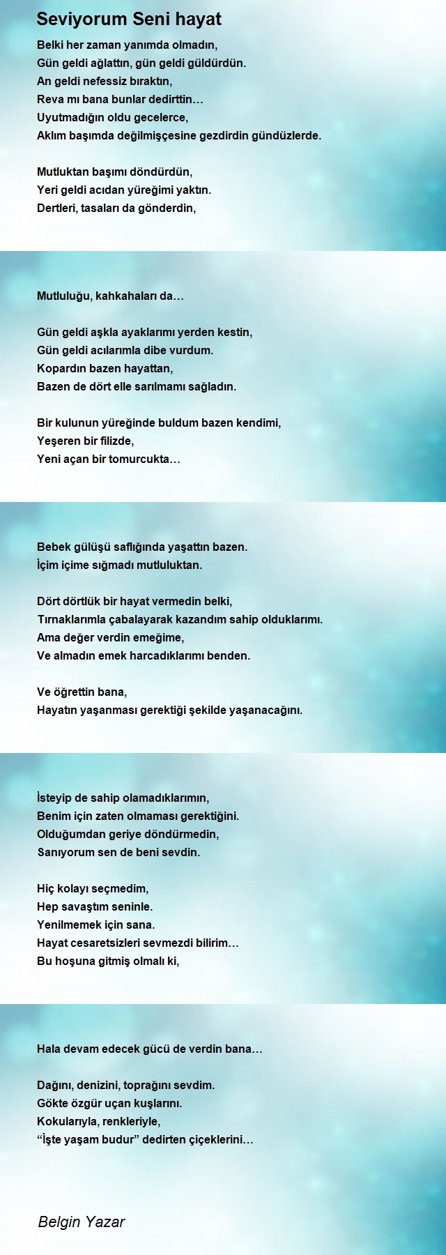 Belgin Yazar