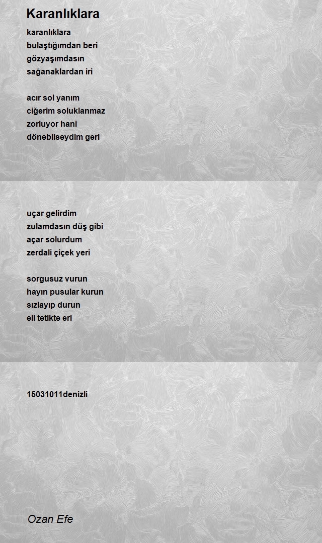 Ozan Efe