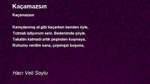 Hacı Veli Soylu