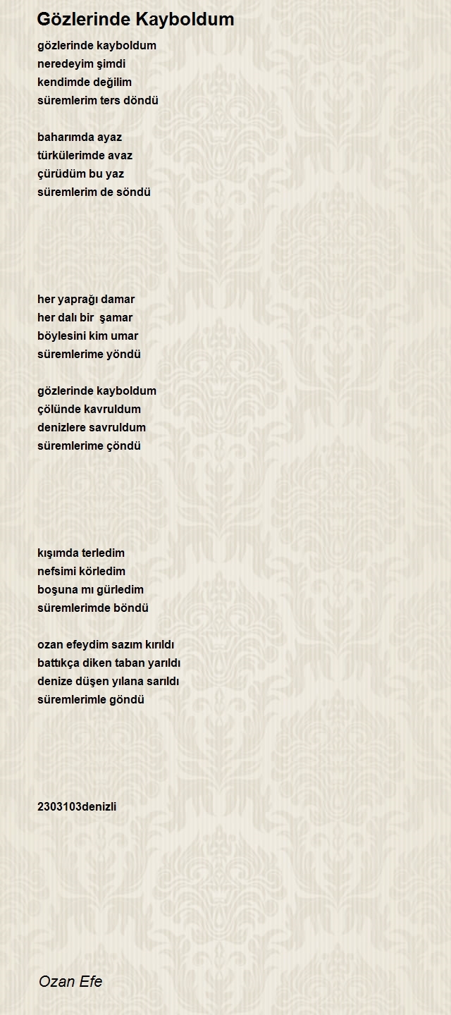 Ozan Efe