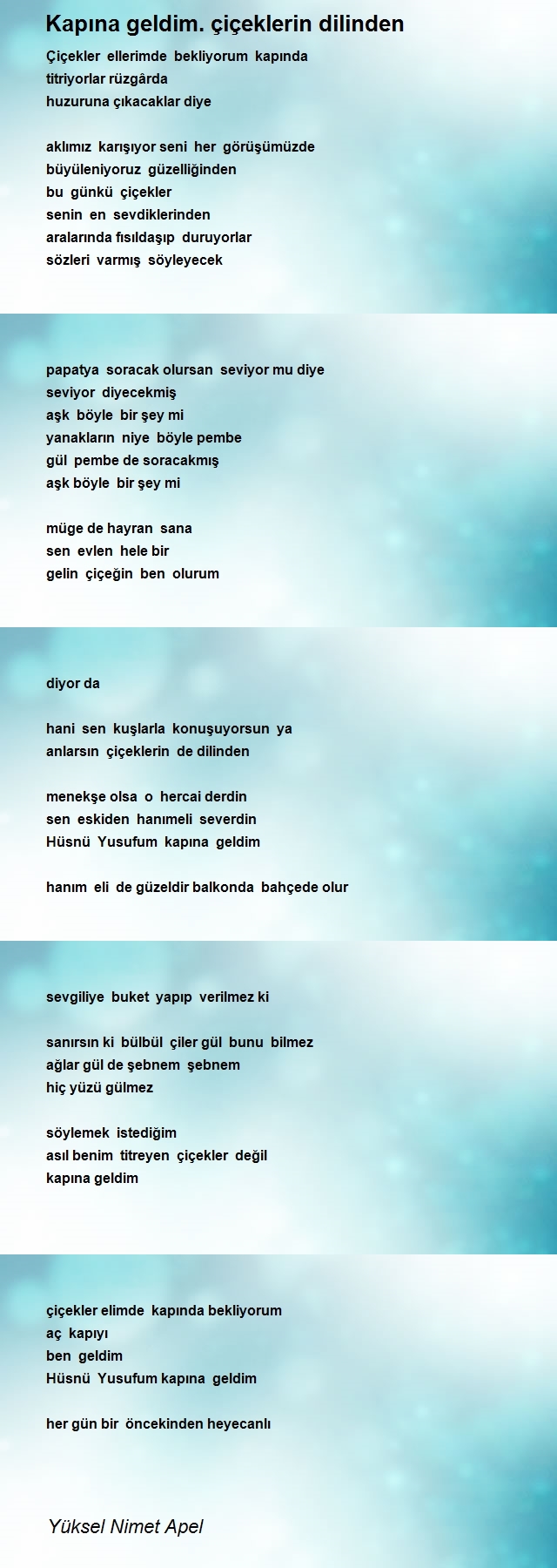 Yüksel Nimet Apel
