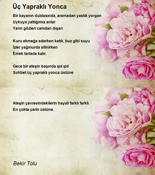 Bekir Tolu