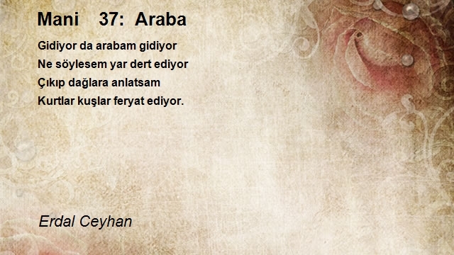 Erdal Ceyhan
