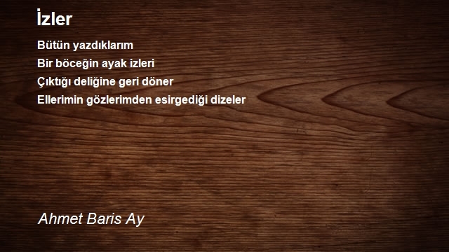 Ahmet Baris Ay