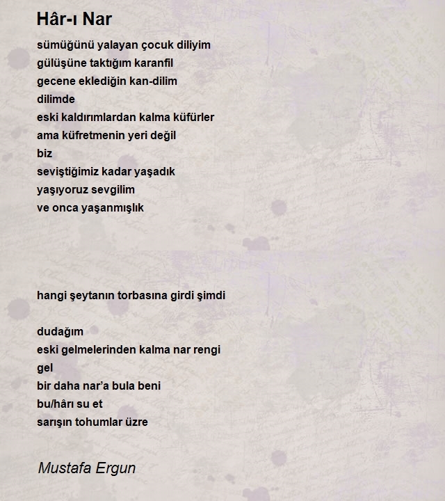 Mustafa Ergun