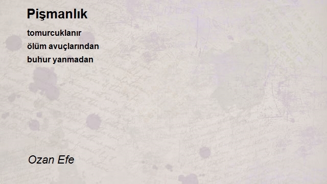 Ozan Efe
