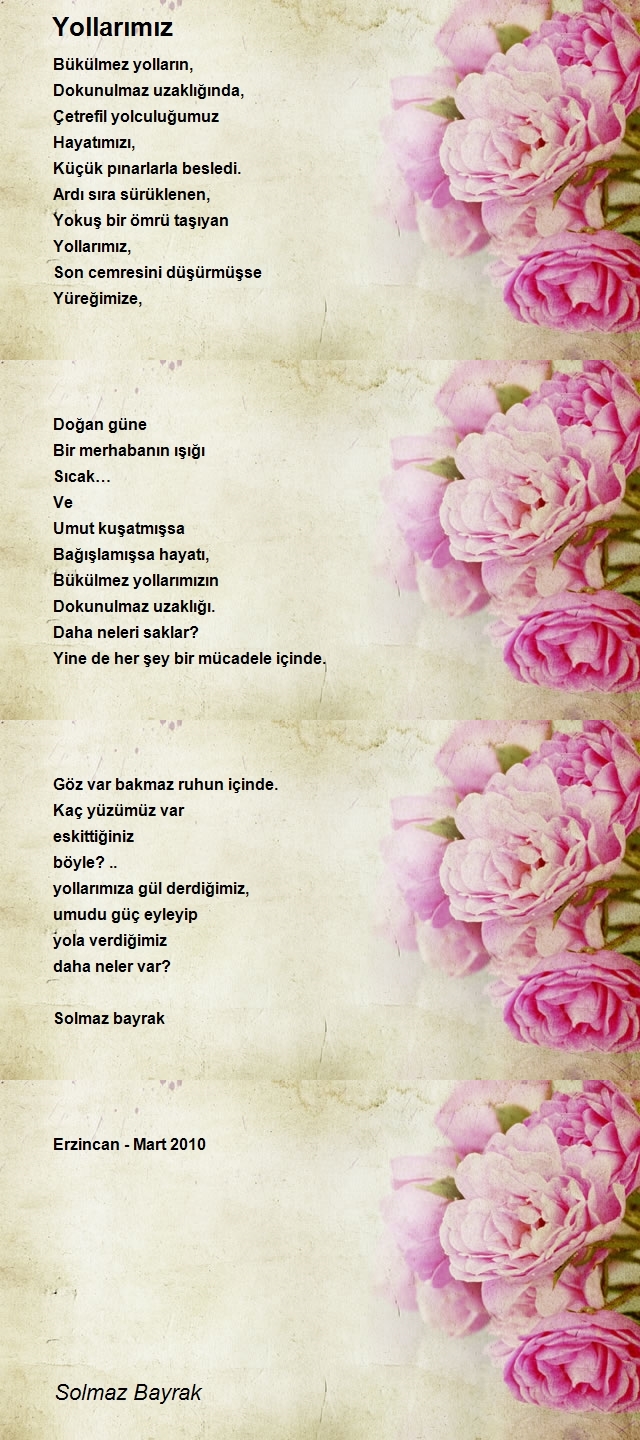 Solmaz Bayrak