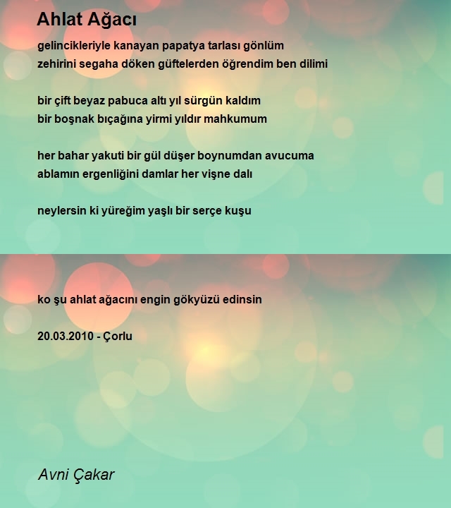 Avni Çakar