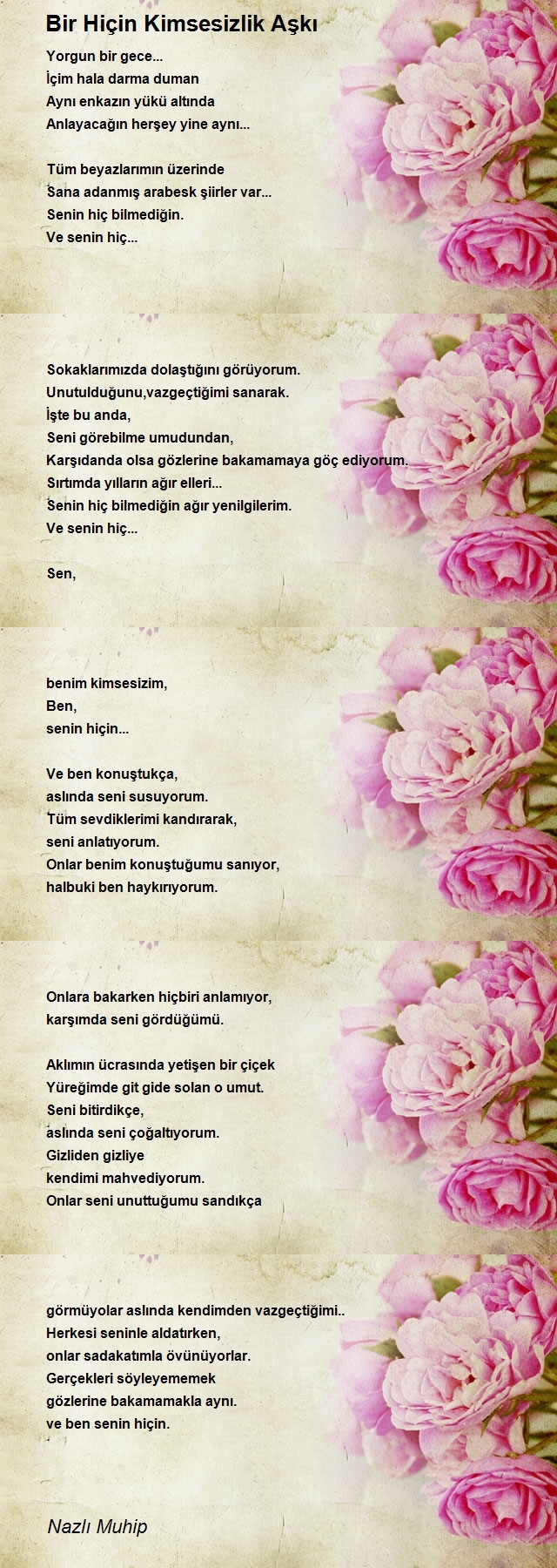 Nazlı Muhip