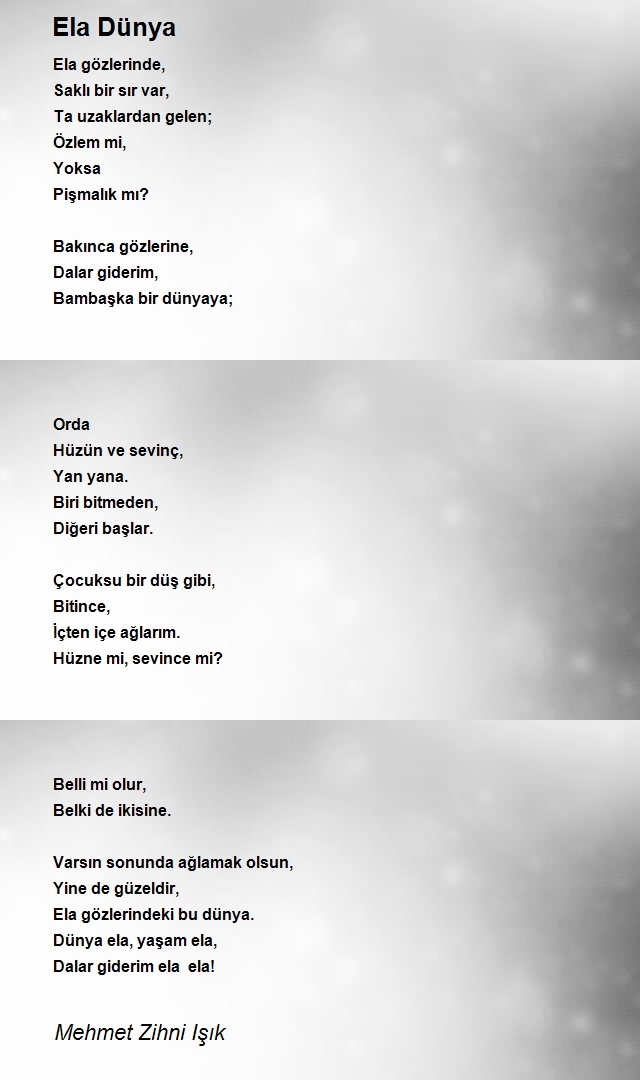 Mehmet Zihni Işık