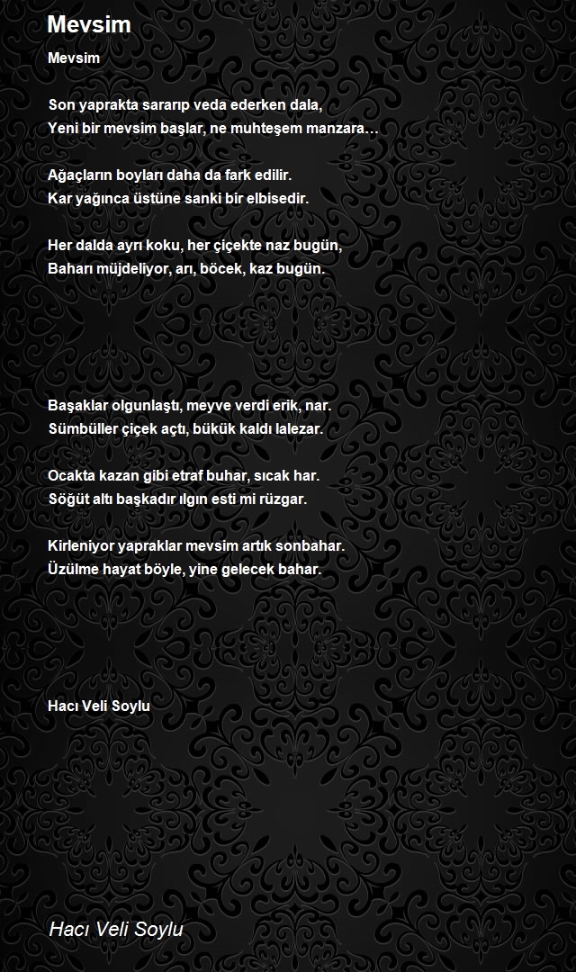 Hacı Veli Soylu